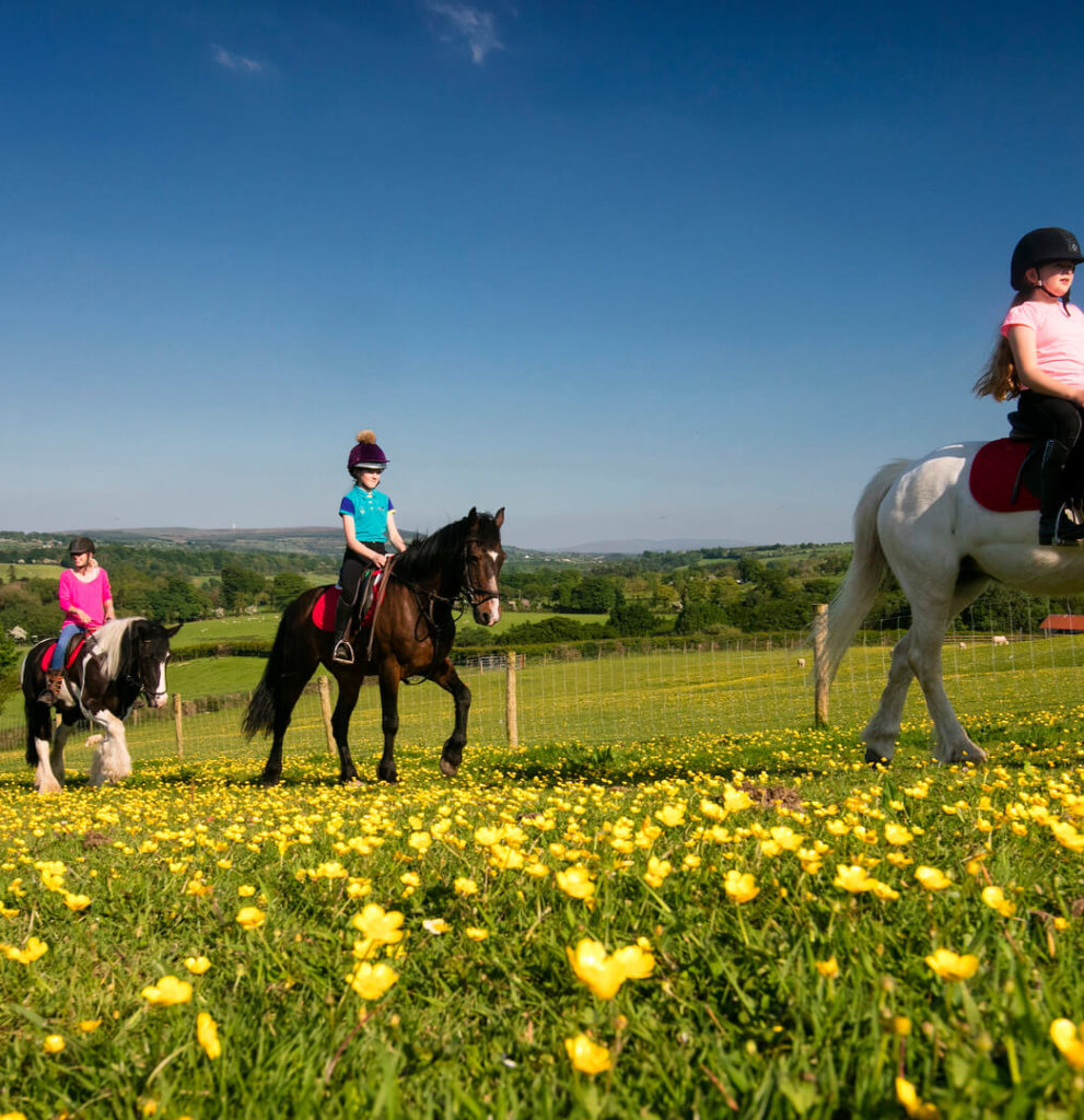 Horse Riding in Kerry The Ashe Hotel Tralee