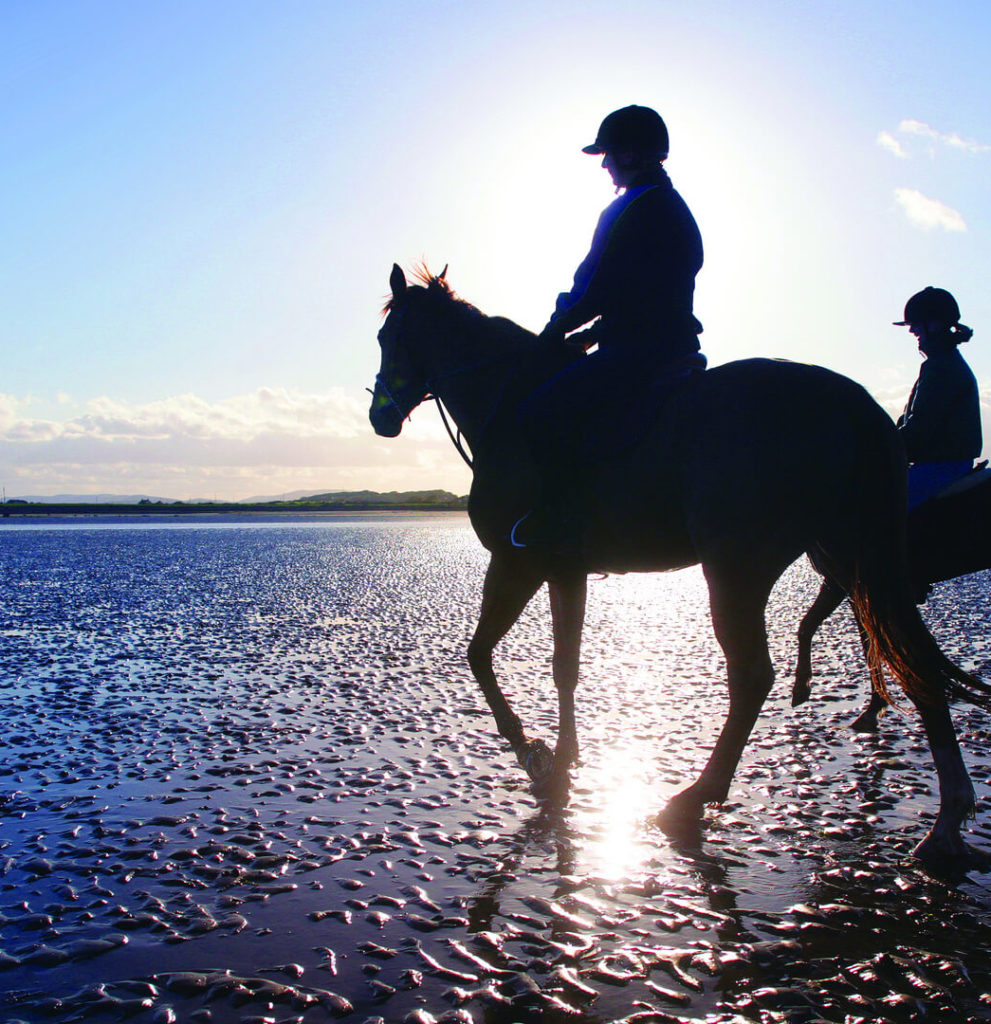 Horse Riding in Kerry The Ashe Hotel Tralee
