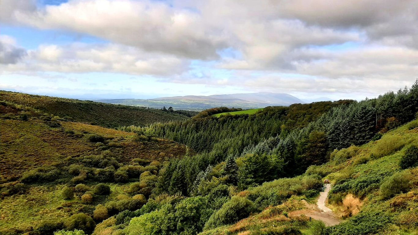 Scenic view from hotel over lush green hills and forested trails, perfect for hiking and nature walks.